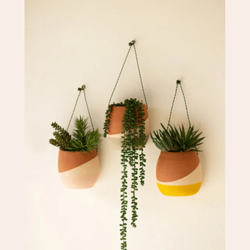 clay-wall-planter-set-993745