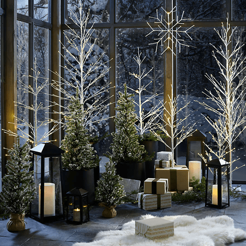 led-birch-trees-558794